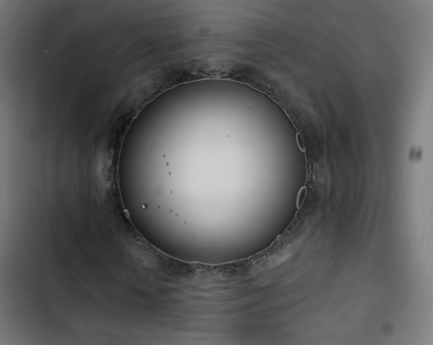 X0000103440818200809121401