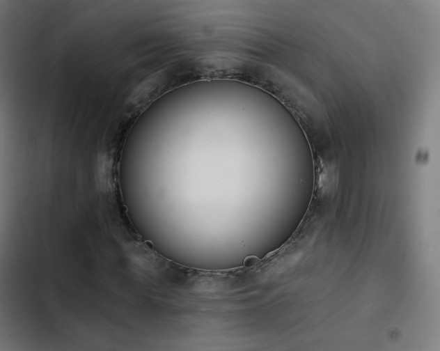 X0000103440819200809121401