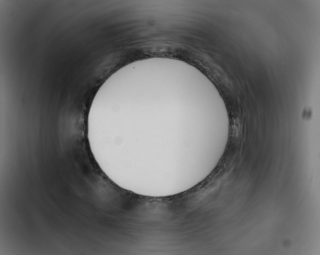 X0000103440820200809121401