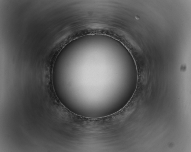 X0000103440821200809121401