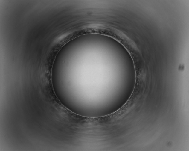X0000103440822200809121401