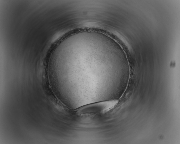 X0000103440823200809121401