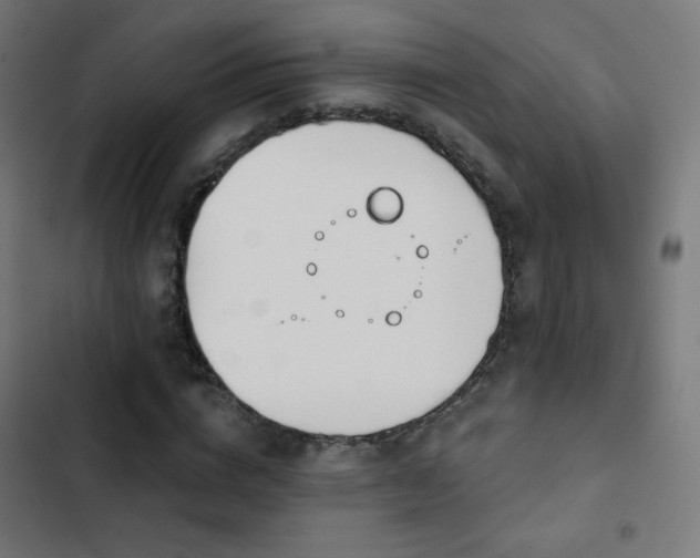 X0000103440824200809121401