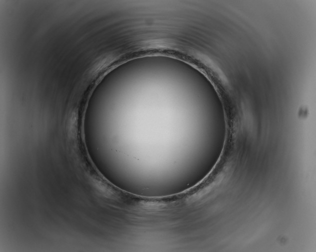 X0000103440825200809121401