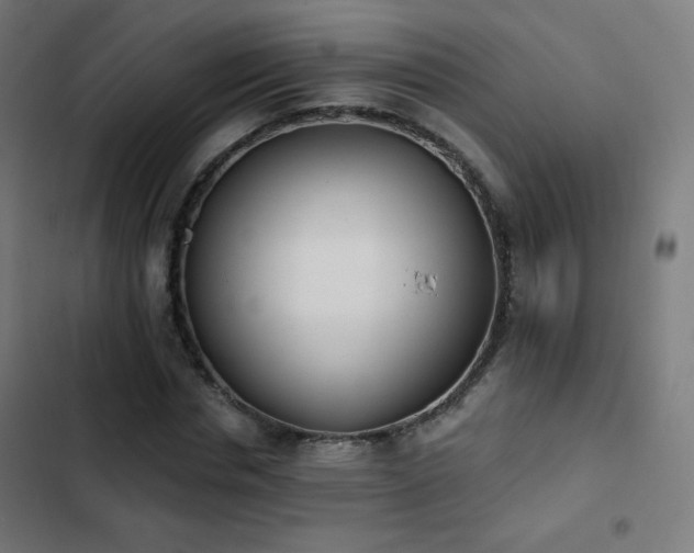 X0000103440826200809121401