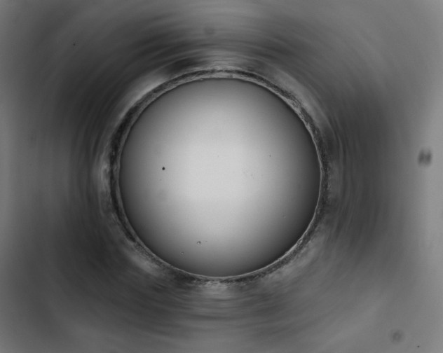 X0000103440827200809121401