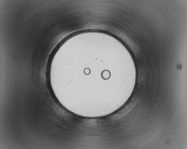 X0000103440828200809121401