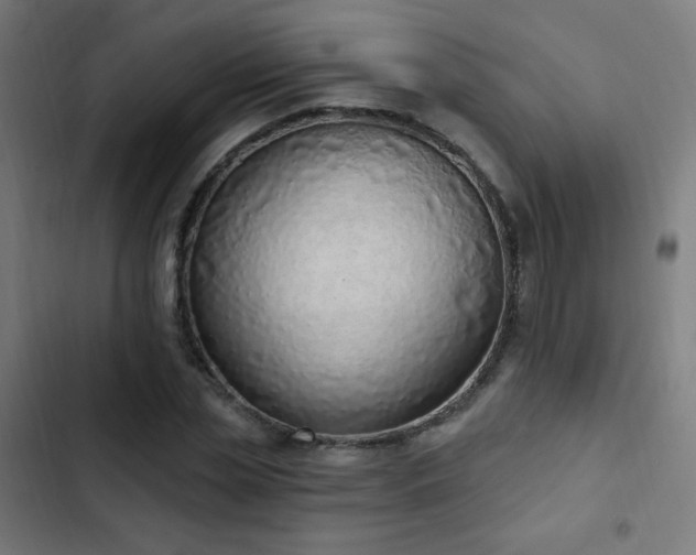X0000103440829200809121401