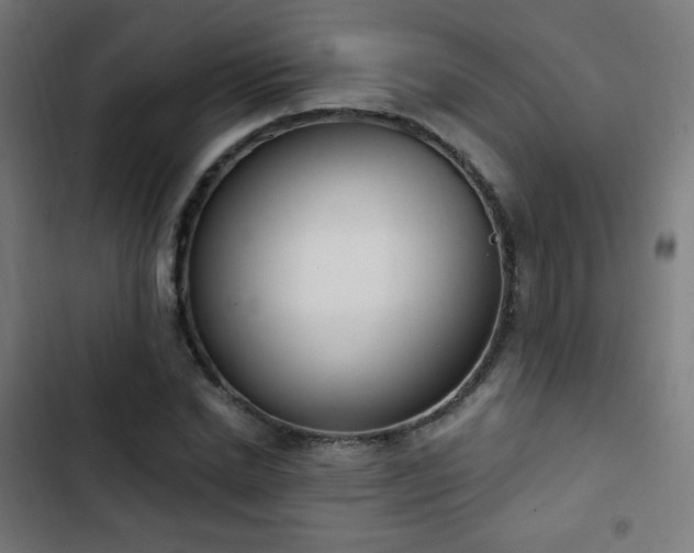 X0000103440830200809121401