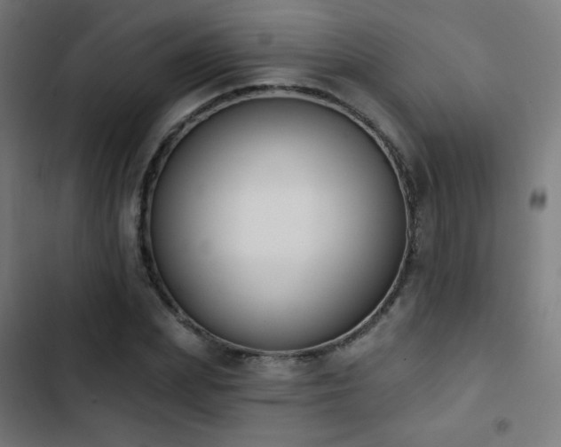 X0000103440831200809121401