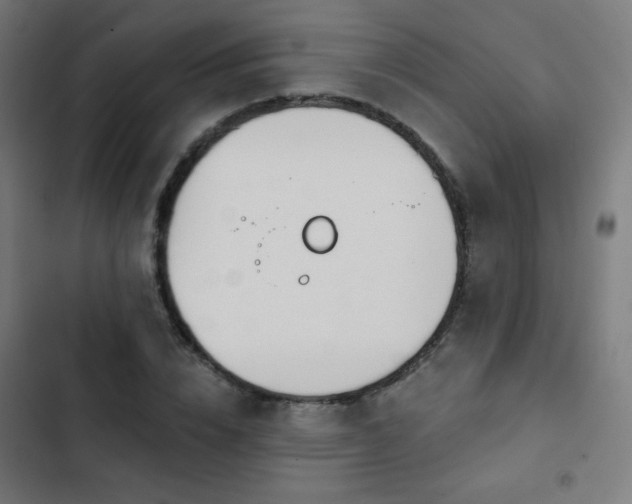 X0000103440832200809121401