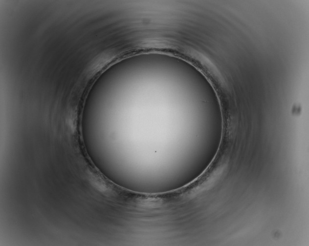 X0000103440833200809121401