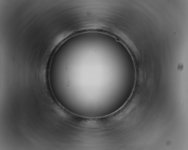 X0000103440834200809121401