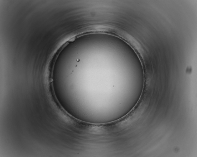 X0000103440835200809121401