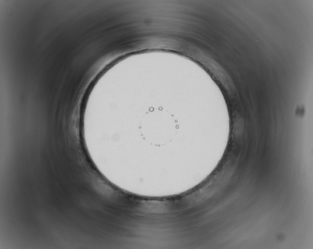X0000103440836200809121401