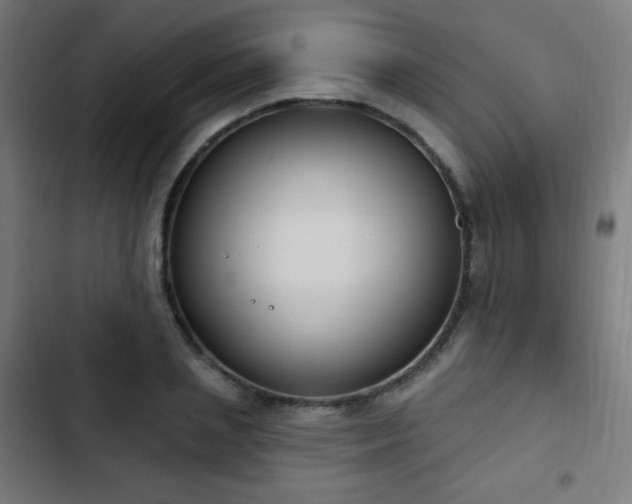 X0000103440837200809121401