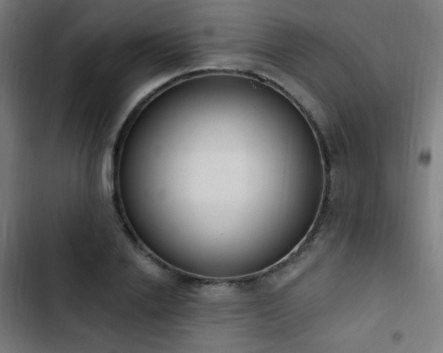 X0000103440838200809121401