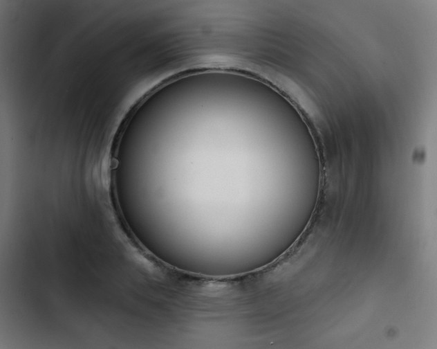 X0000103440839200809121401