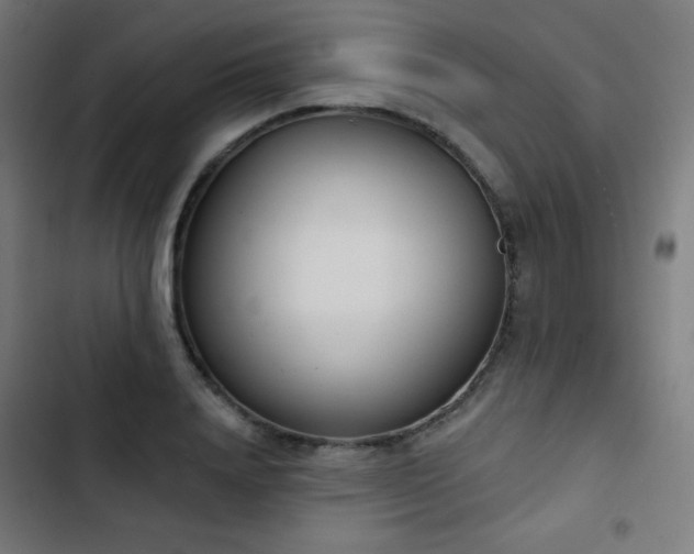 X0000103440840200809121401
