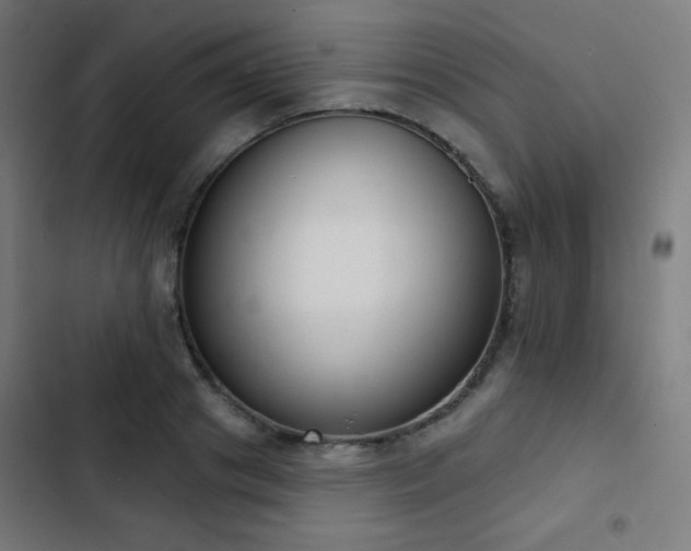 X0000103440841200809121401
