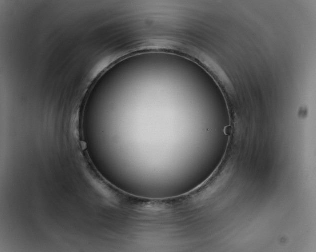 X0000103440842200809121401