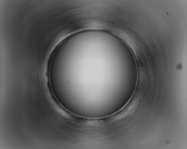 X0000103440843200809121401