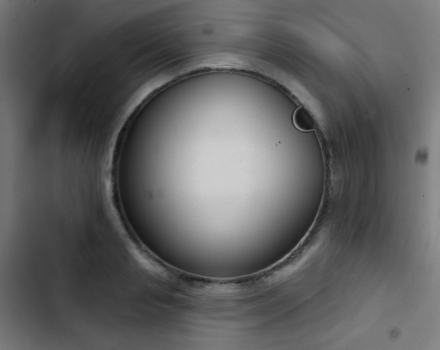 X0000103440845200809121401