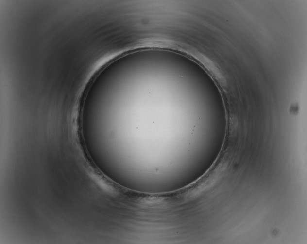 X0000103440846200809121401