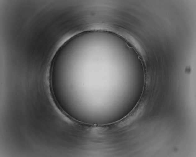 X0000103440847200809121401