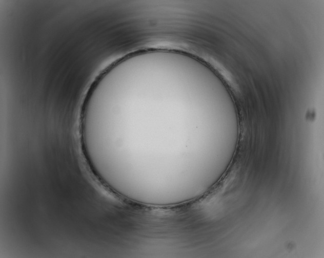 X0000103440848200809121401