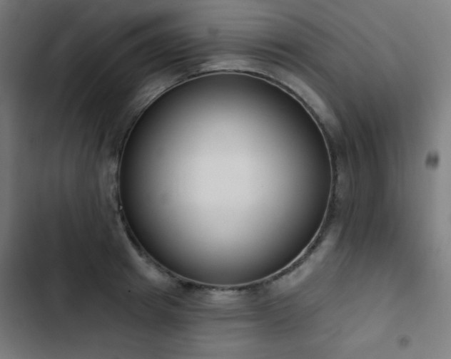 X0000103440849200809121401