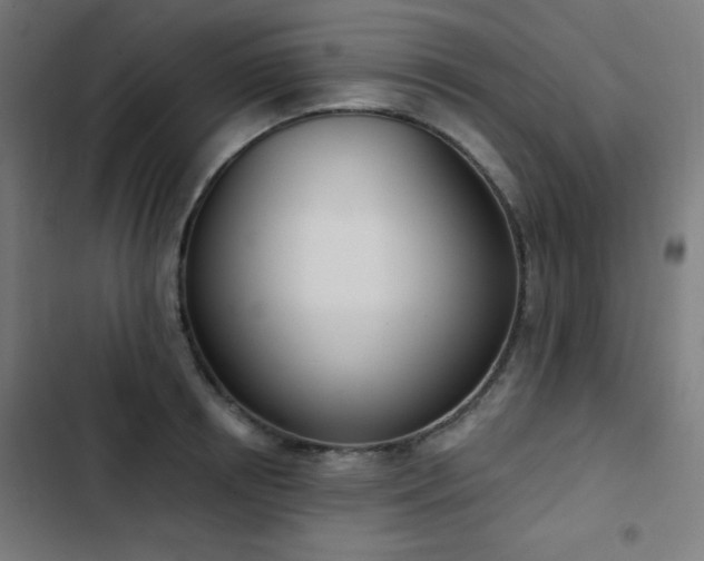X0000103440850200809121401