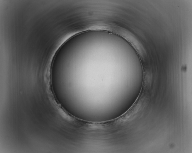 X0000103440852200809121401