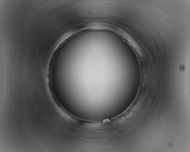X0000103440853200809121401