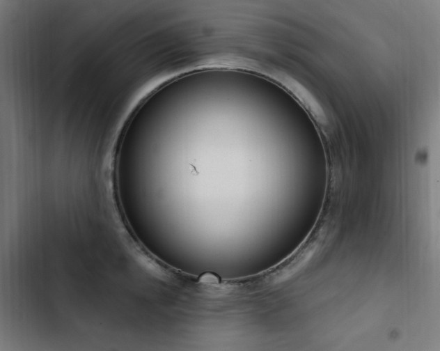 X0000103440854200809121401