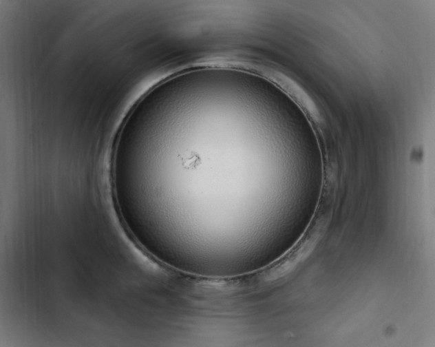 X0000103440855200809121401