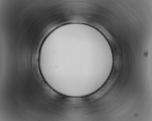X0000103440856200809121401