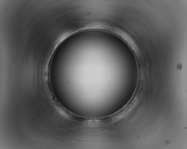 X0000103440858200809121401