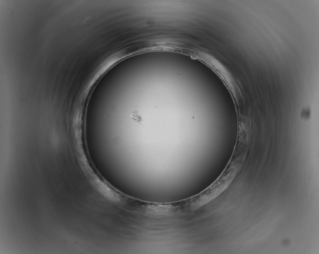 X0000103440859200809121402