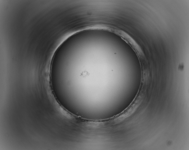 X0000103440860200809121402