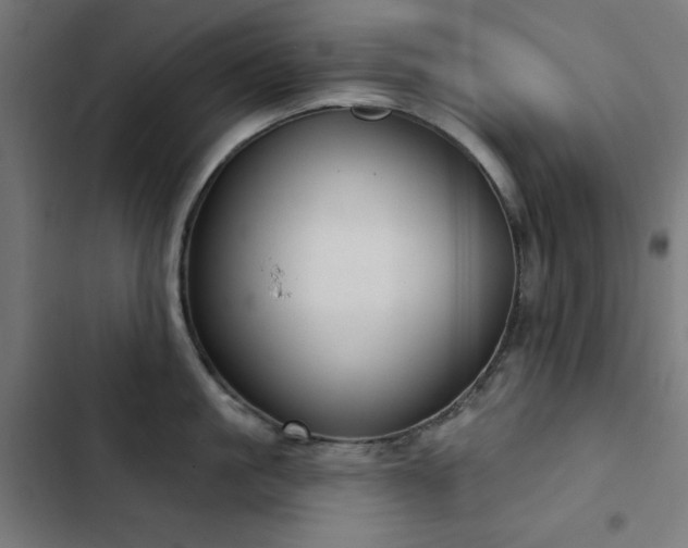 X0000103440861200809121402