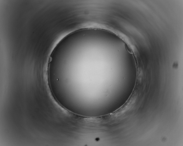 X0000103440863200809121402
