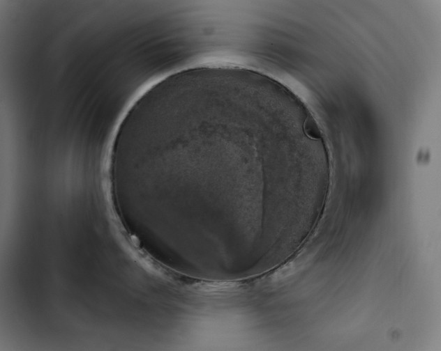 X0000103440864200809121402