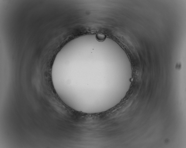X0000103440865200809121401