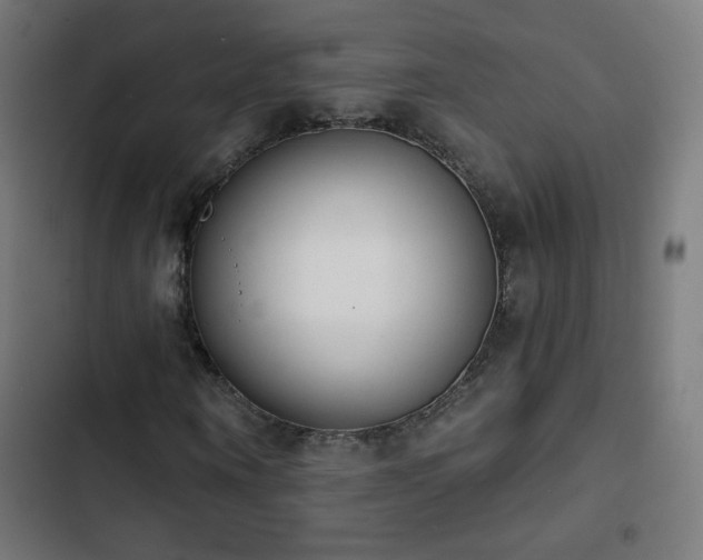 X0000103440866200809121401