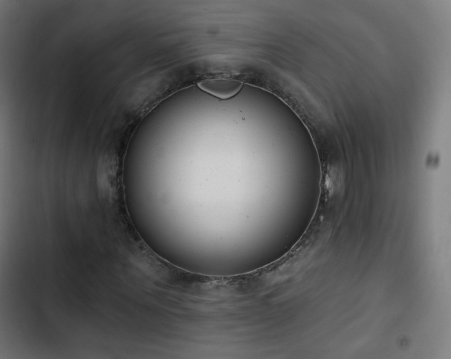 X0000103440867200809121401