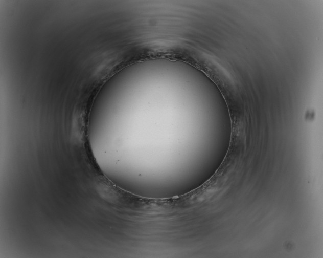 X0000103440868200809121401
