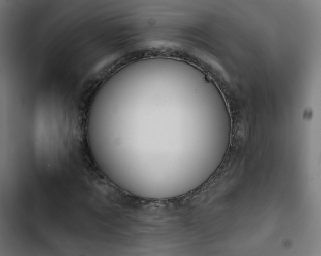 X0000103440869200809121401