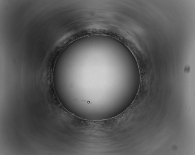 X0000103440870200809121401