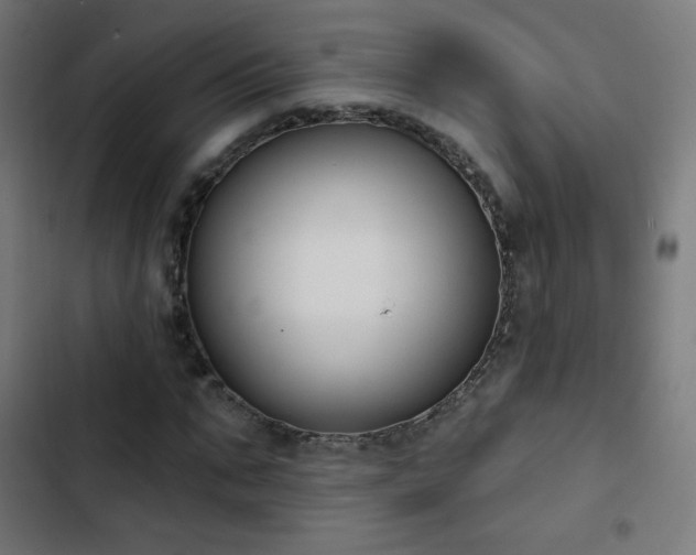 X0000103440871200809121401